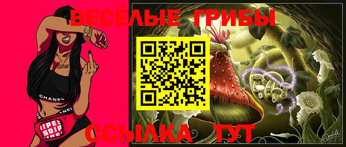 Галлюциногенные грибы ЛСД Удомля