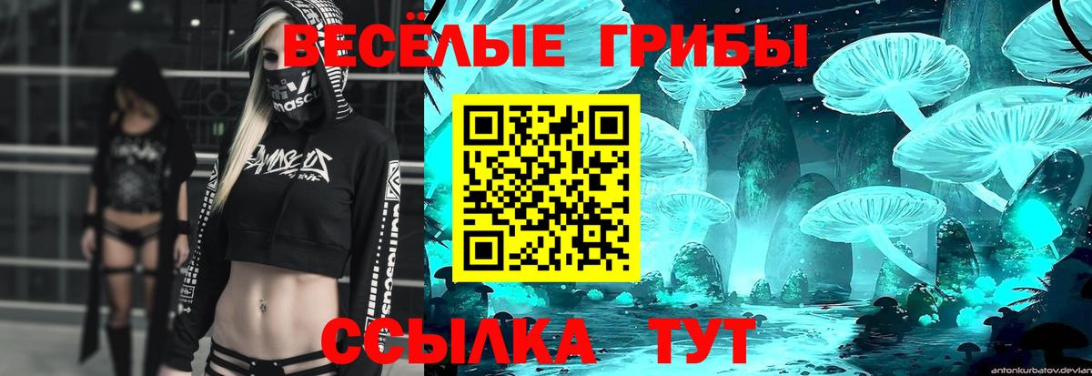 Галлюциногенные грибы MAGIC MUSHROOMS  Вход с VPN  Удомля 